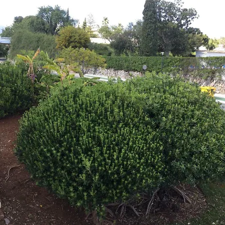 Fascinating & Luxurious Golf,mountain & Garden View Porto Banus بيت للعطل *